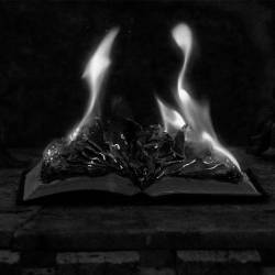 Vaee Solis : Oppositional Lucent